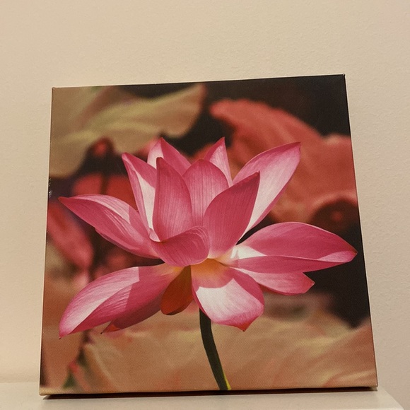 TWO pink flower tableaus - Picture 3 of 3